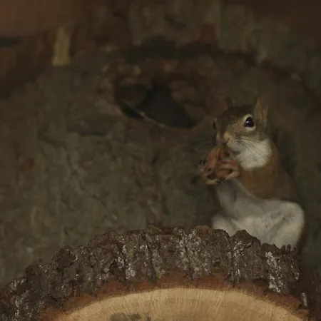 Tatarska Zagroda - Dolina Baryczy - Jelonek *