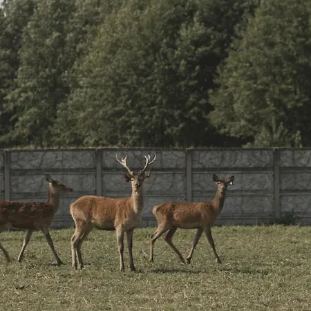 Willa Tatarska Zagroda - Dolina Baryczy - Jelonek