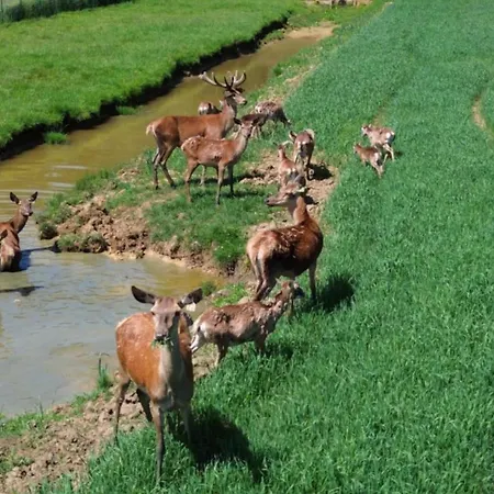 Willa Tatarska Zagroda - Dolina Baryczy - Jelonek
