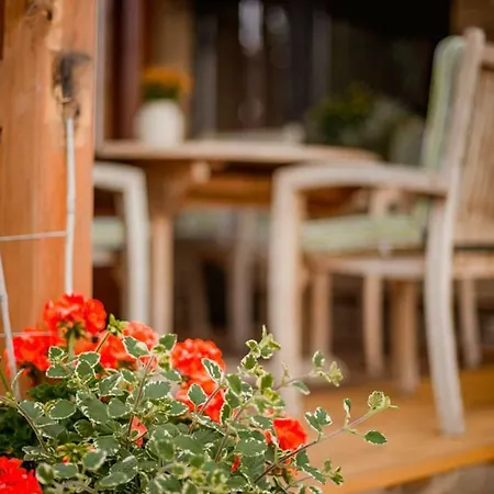 Willa Tatarska Zagroda - Dolina Baryczy - Jelonek