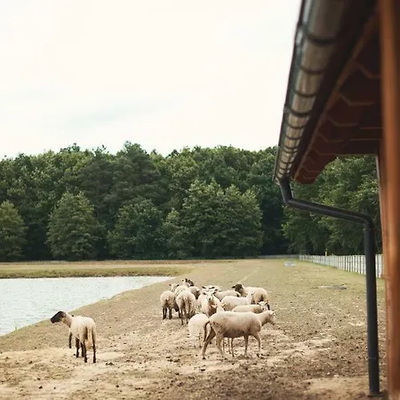 Tatarska Zagroda - Dolina Baryczy - Jelonek Vila Krosnice