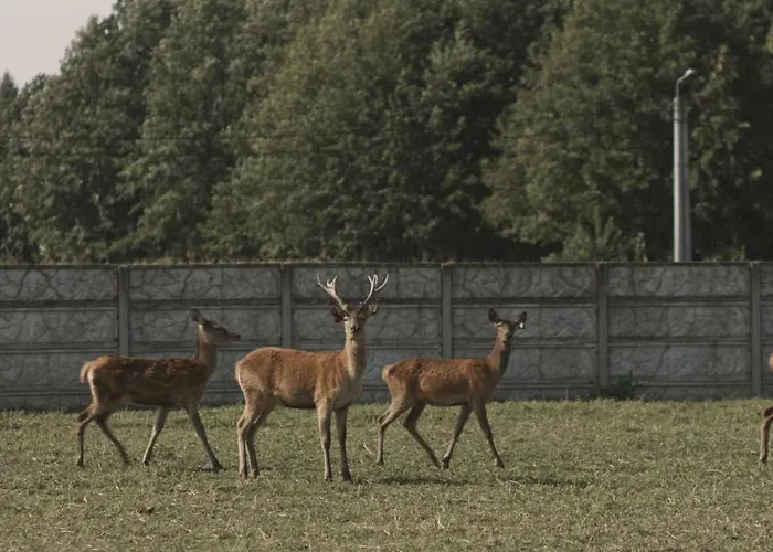Villa Tatarska Zagroda - Dolina Baryczy - Jelonek