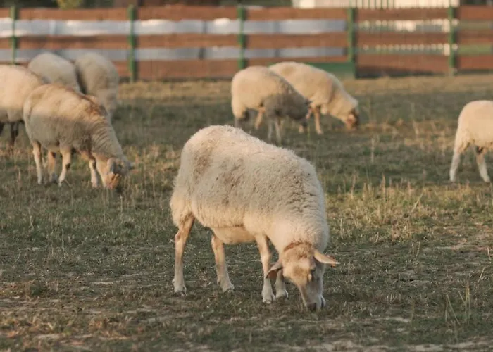 Tatarska Zagroda - Dolina Baryczy - Jelonek Villa