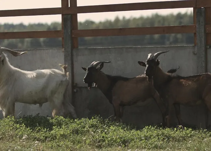 Villa Tatarska Zagroda - Dolina Baryczy - Jelonek *