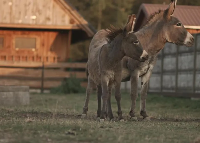 Villa Tatarska Zagroda - Dolina Baryczy - Jelonek *