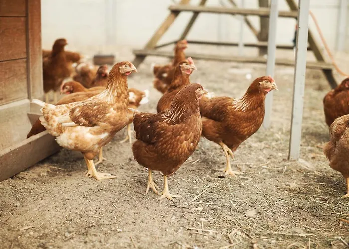 Tatarska Zagroda - Dolina Baryczy - Jelonek * Krosnice